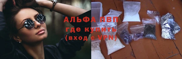 трава Иннополис