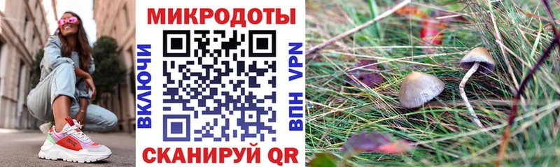 Купить где  Снежинск  Псилоцибиновые грибы Psilocybine cubensis 